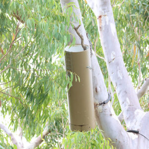 Glossy Black Cockatoo Nesting Box - PVC Pipe