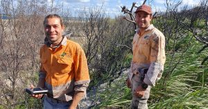 bushland conservation staff